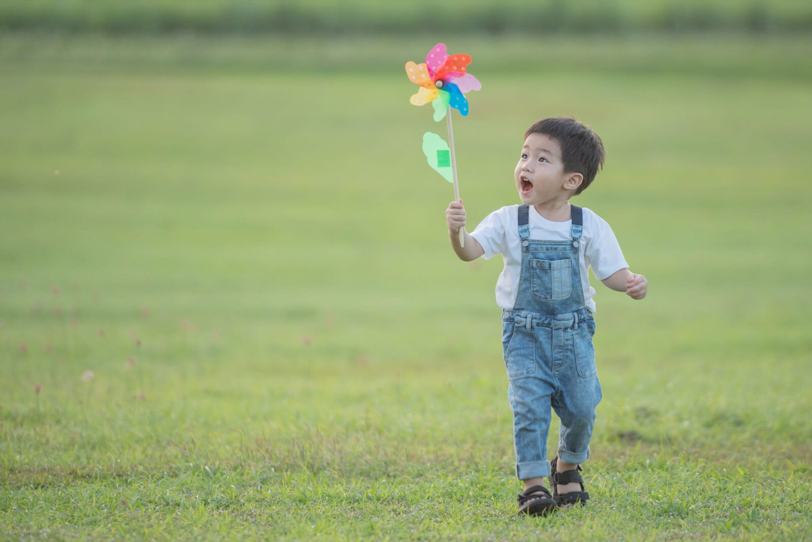 Toddler holding a colorful pinwheel while walking on grass, illustrating the difference between normal toddler behavior and early autism signs.